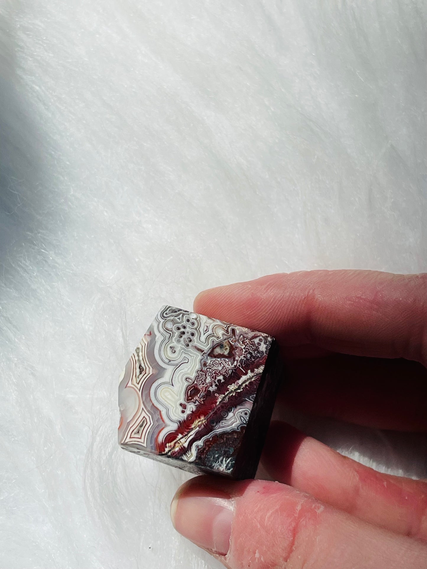Crazy Lace Agate Freeforms small