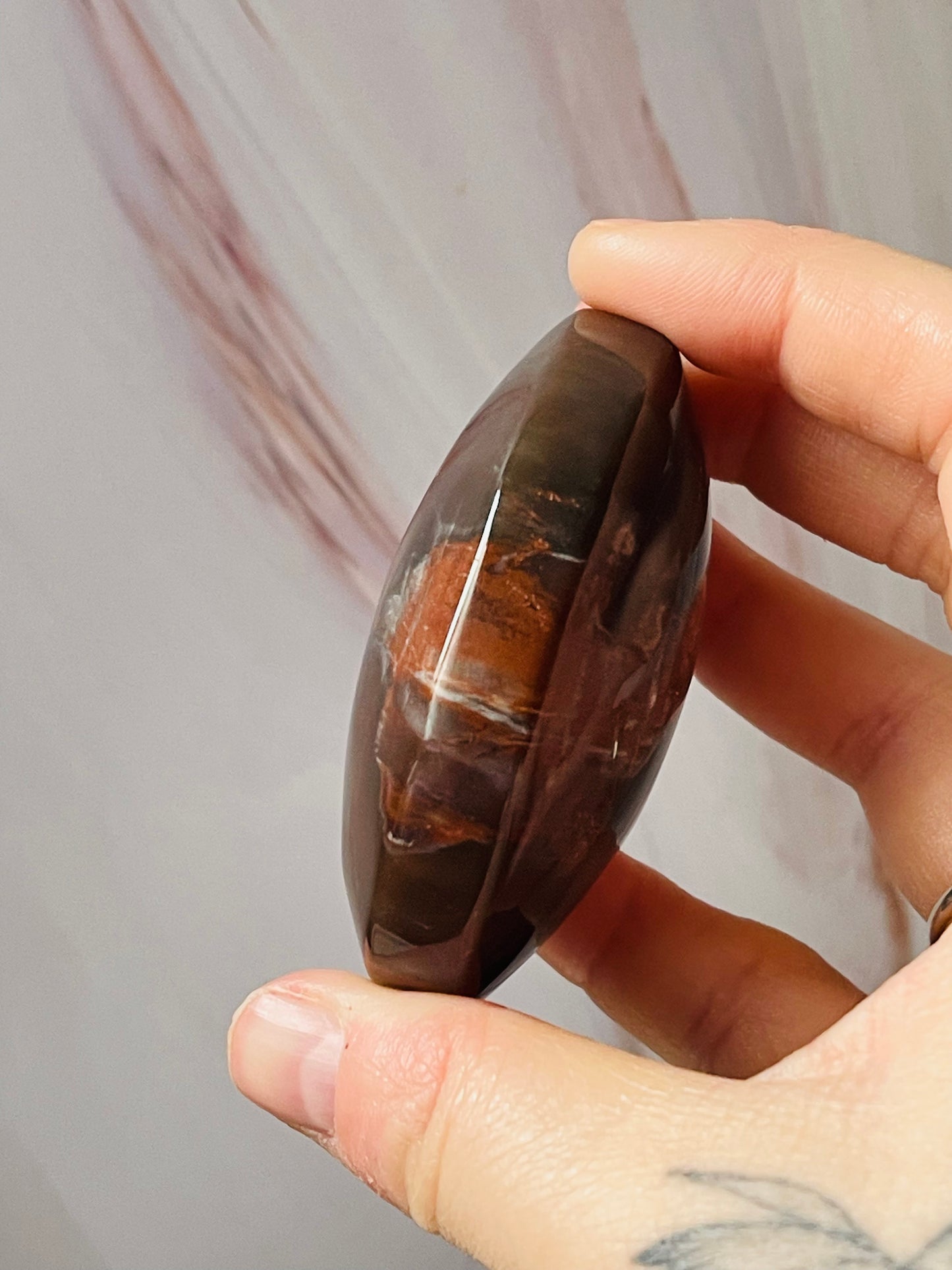 Petrified wood palmstone