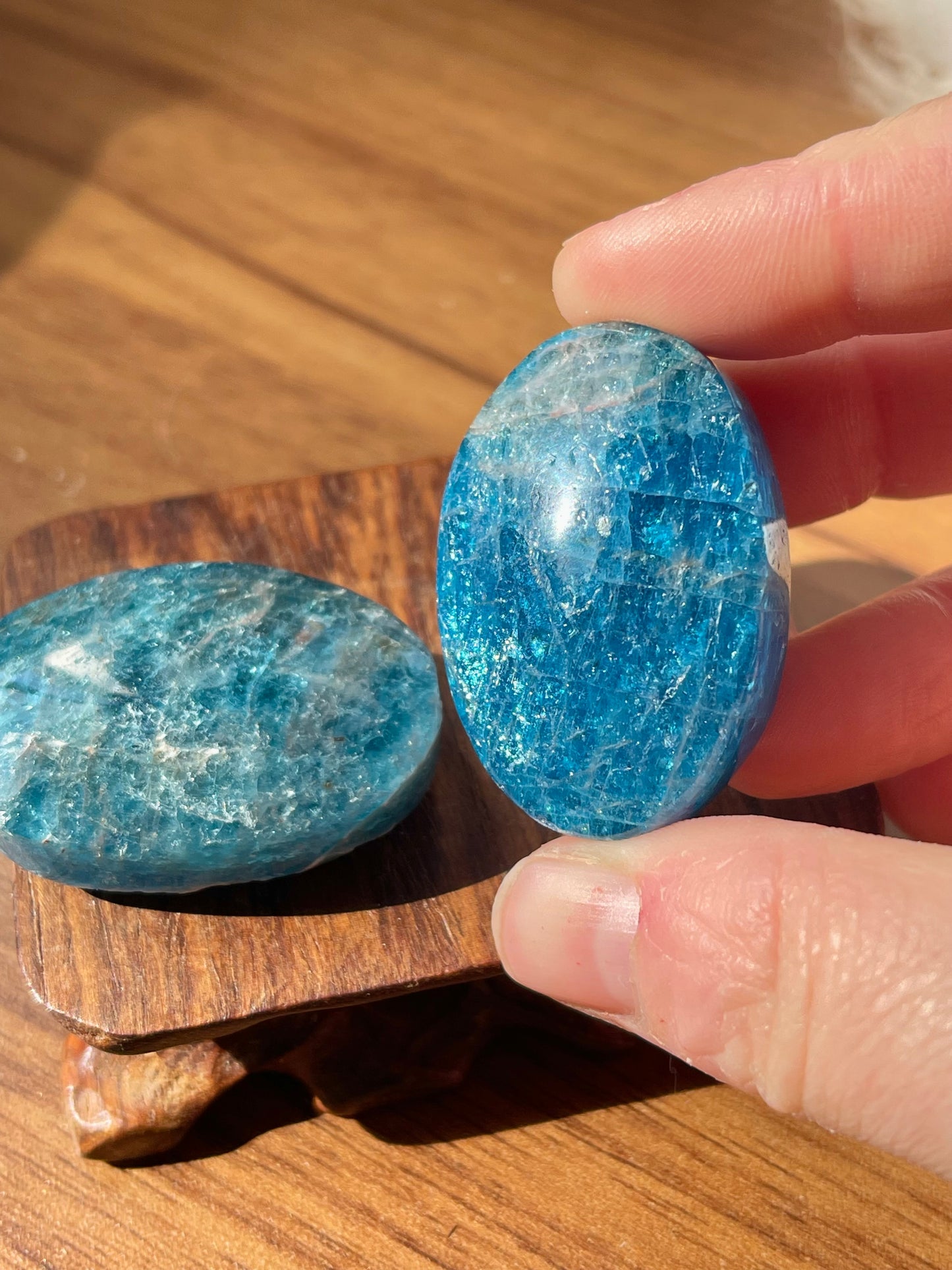 Gemmy blue appetite small Palmstones