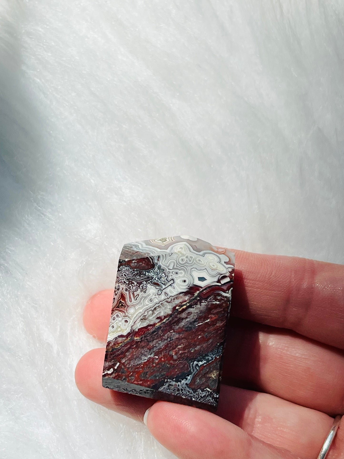 Crazy Lace Agate Freeforms small