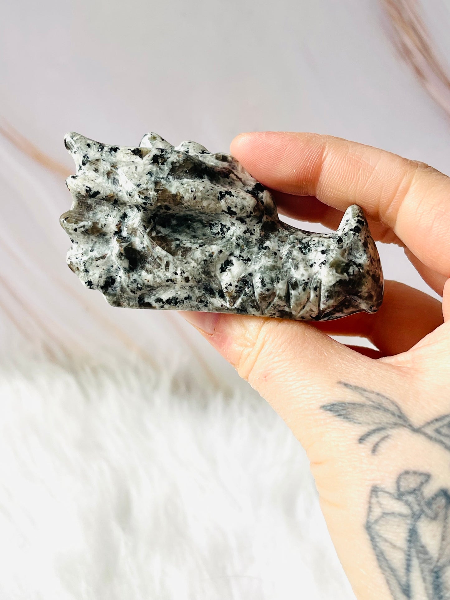 Yooperlite dragon skull