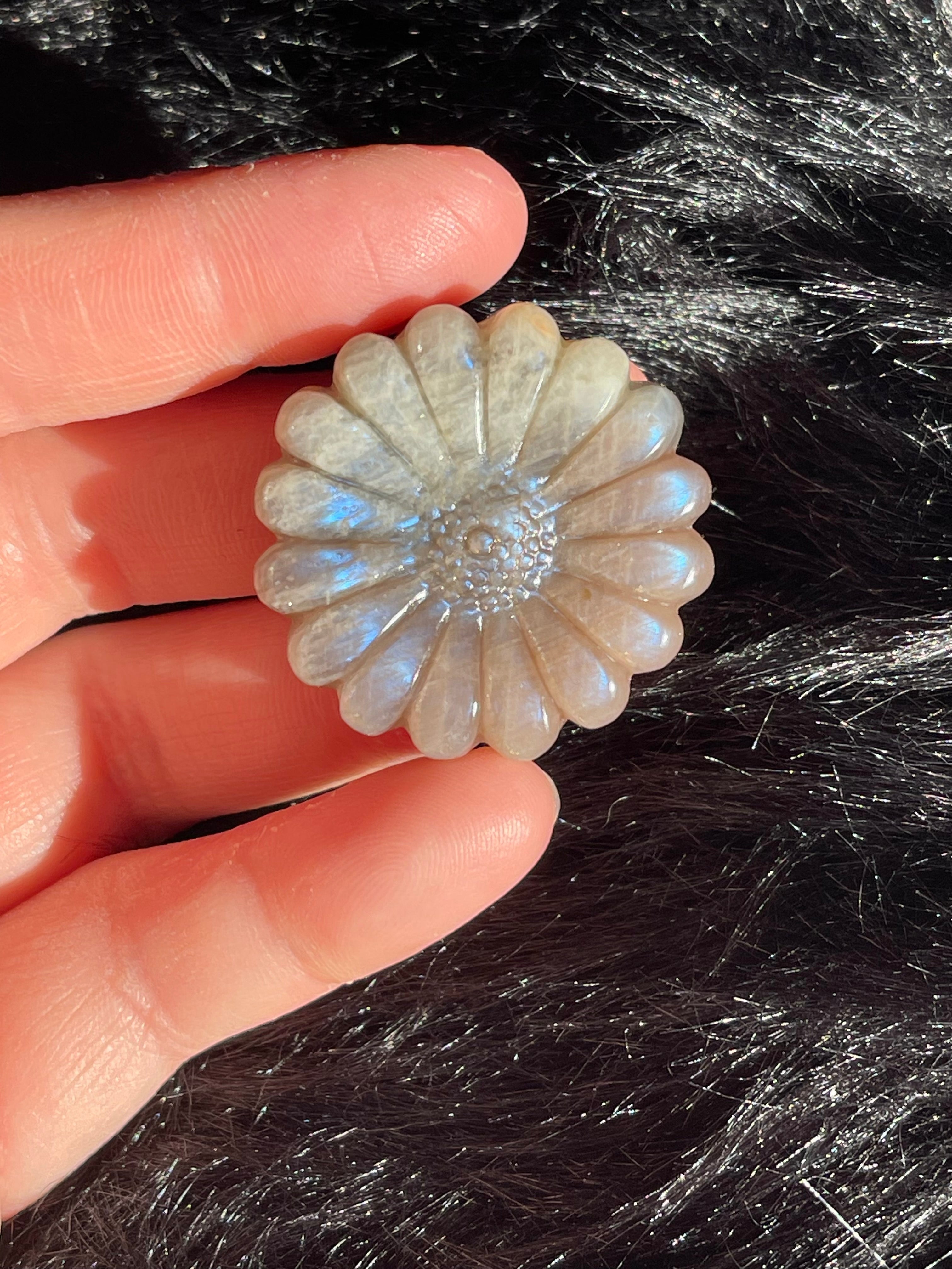 Moonstone Sunflower
