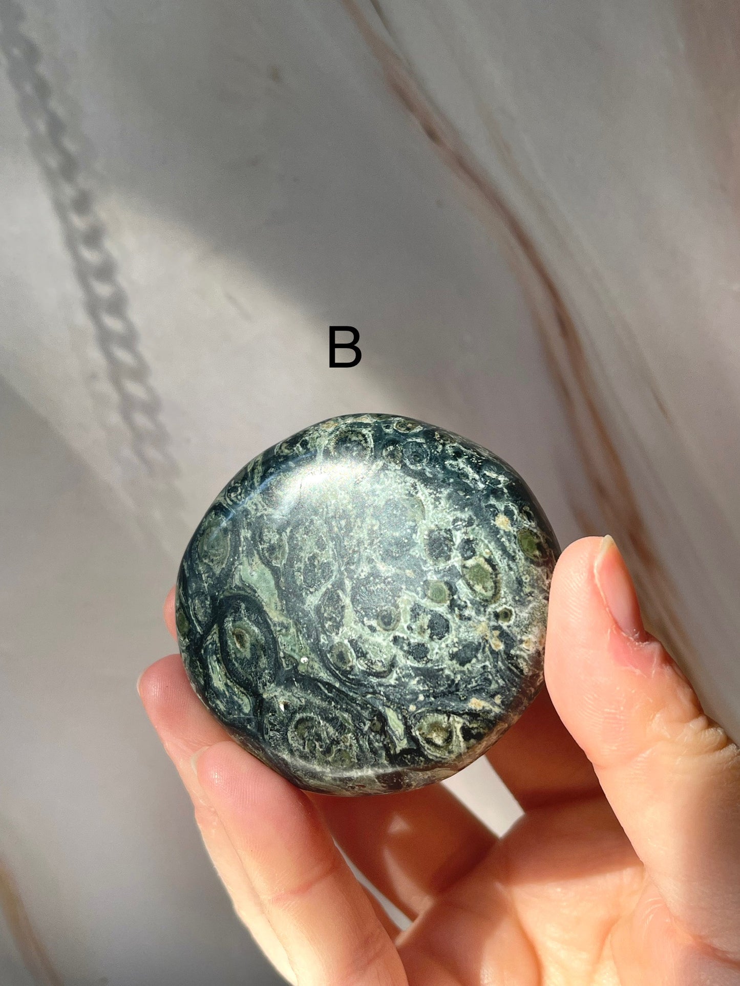 Kambaba Jasper Palmstone