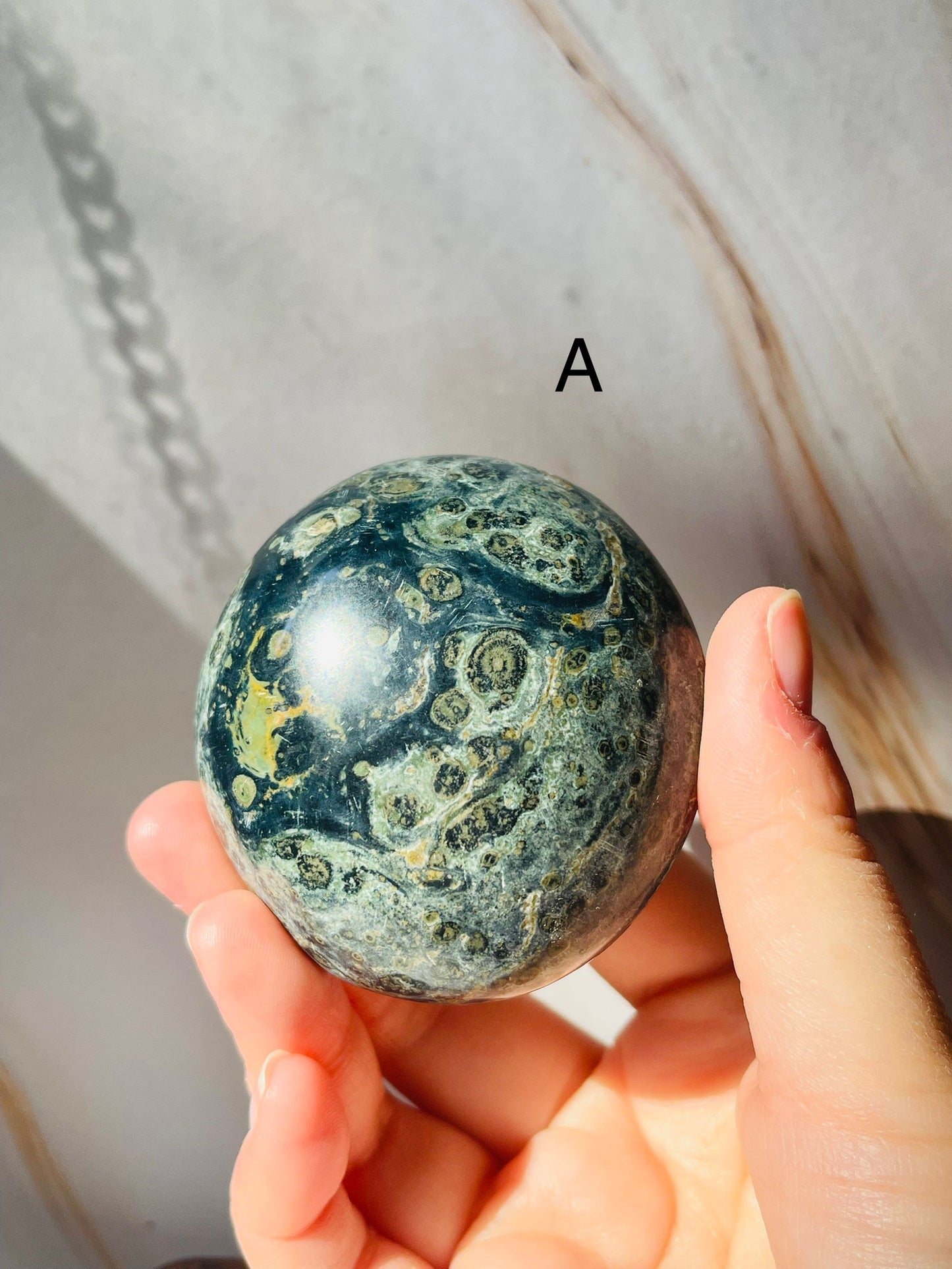 Kambaba Jasper Palmstone