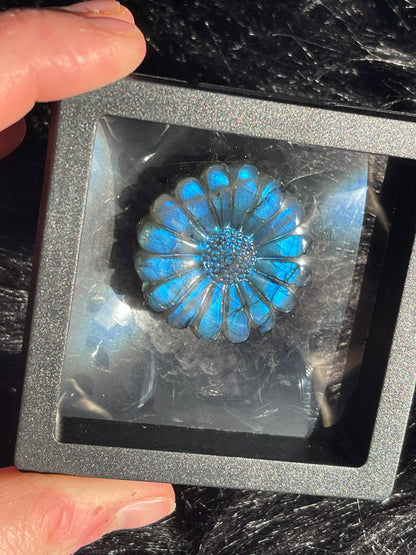 Labradorite Sunflower