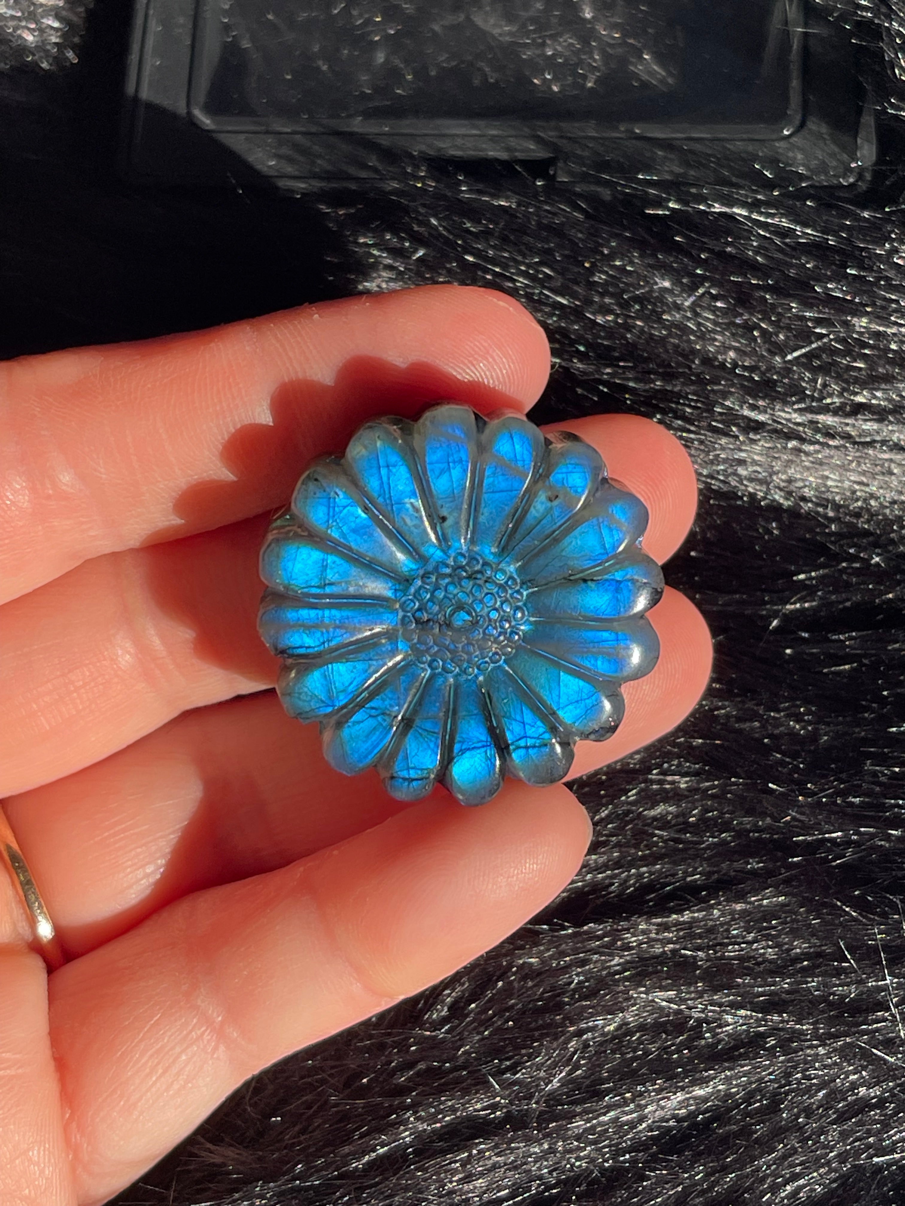 Labradorite Sunflower