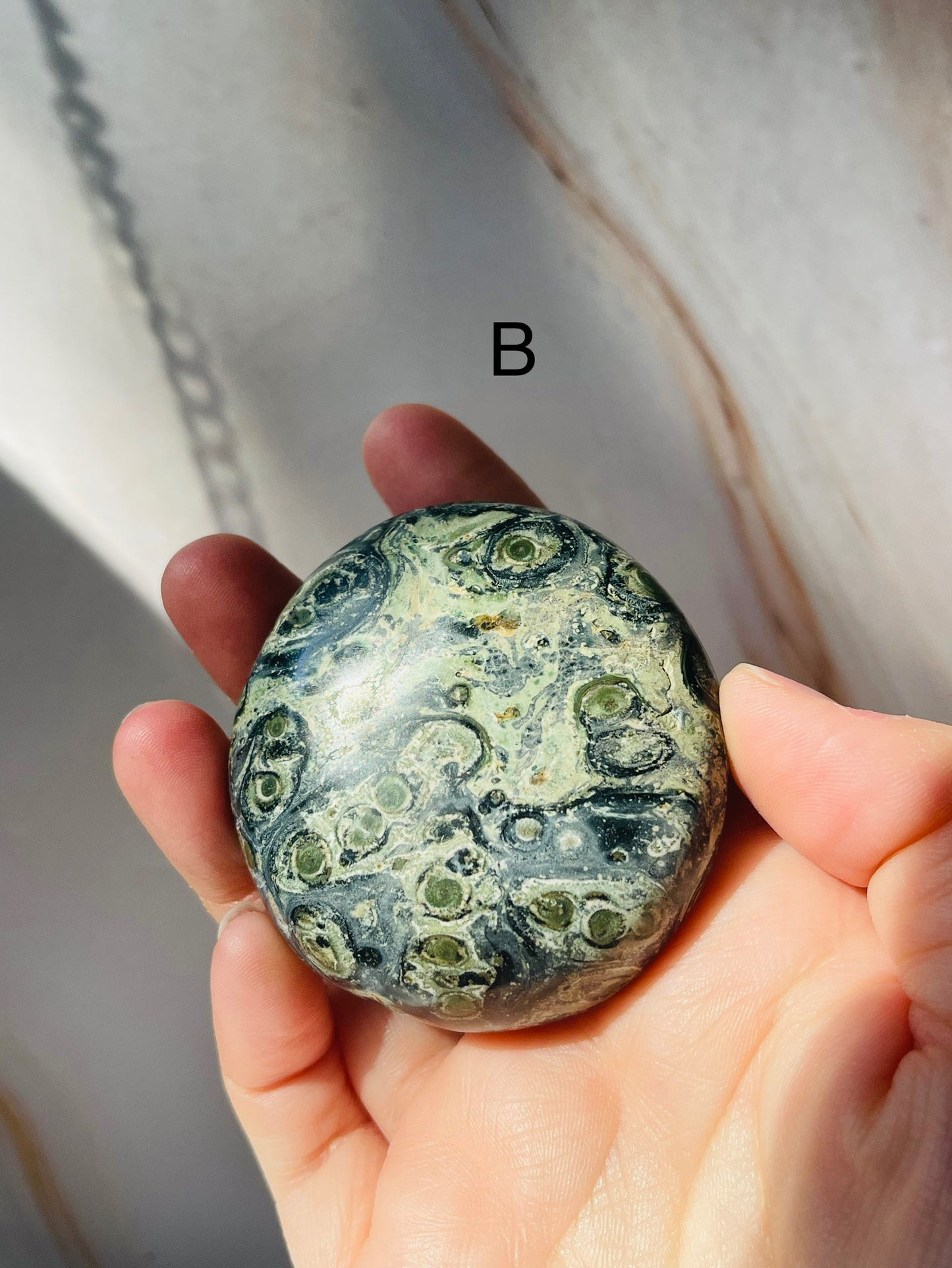 Kambaba Jasper Palmstone