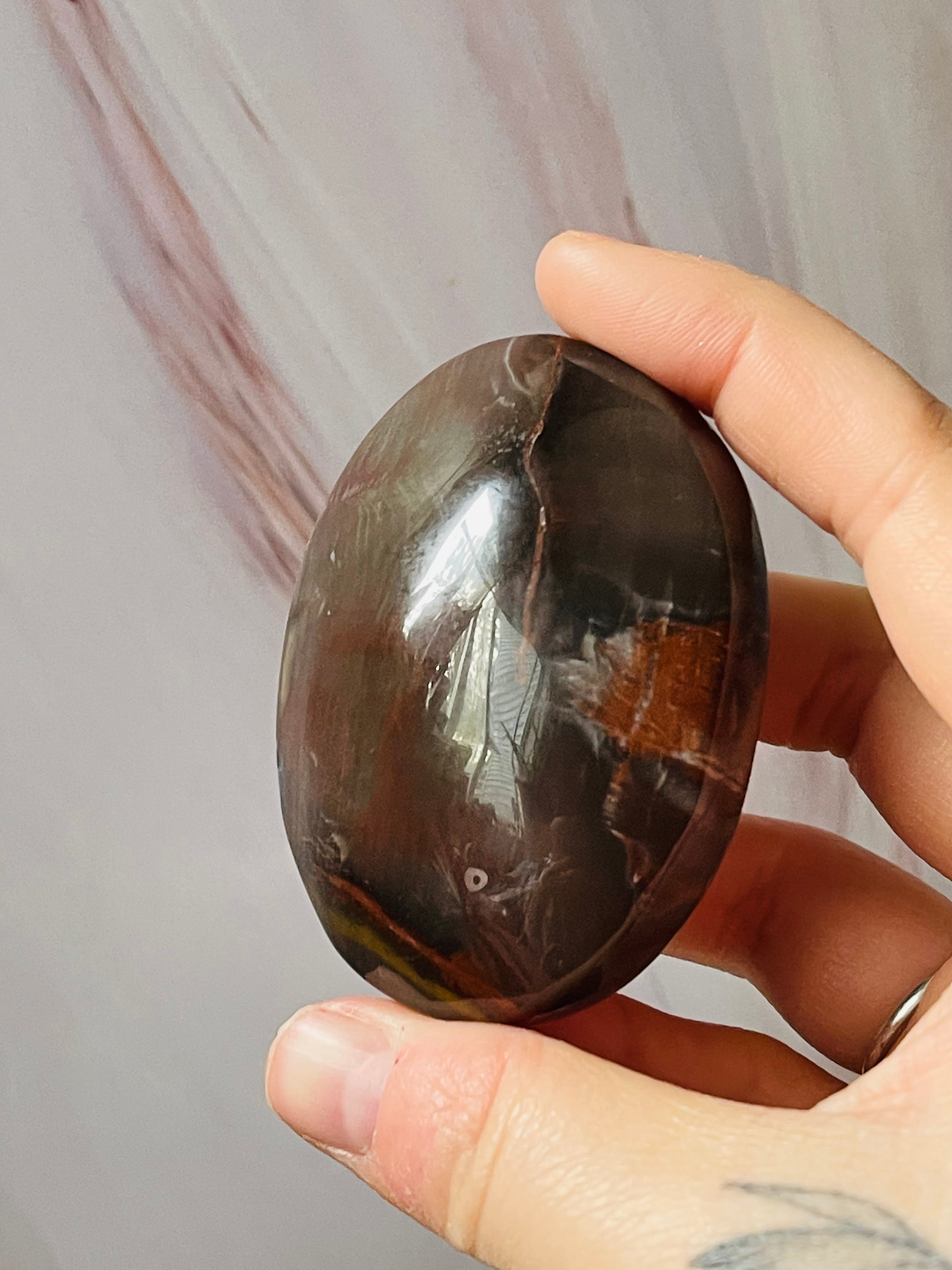 Petrified wood palmstone