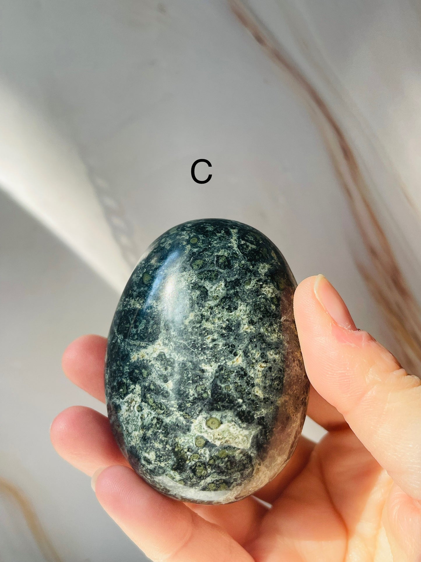 Kambaba Jasper Palmstone