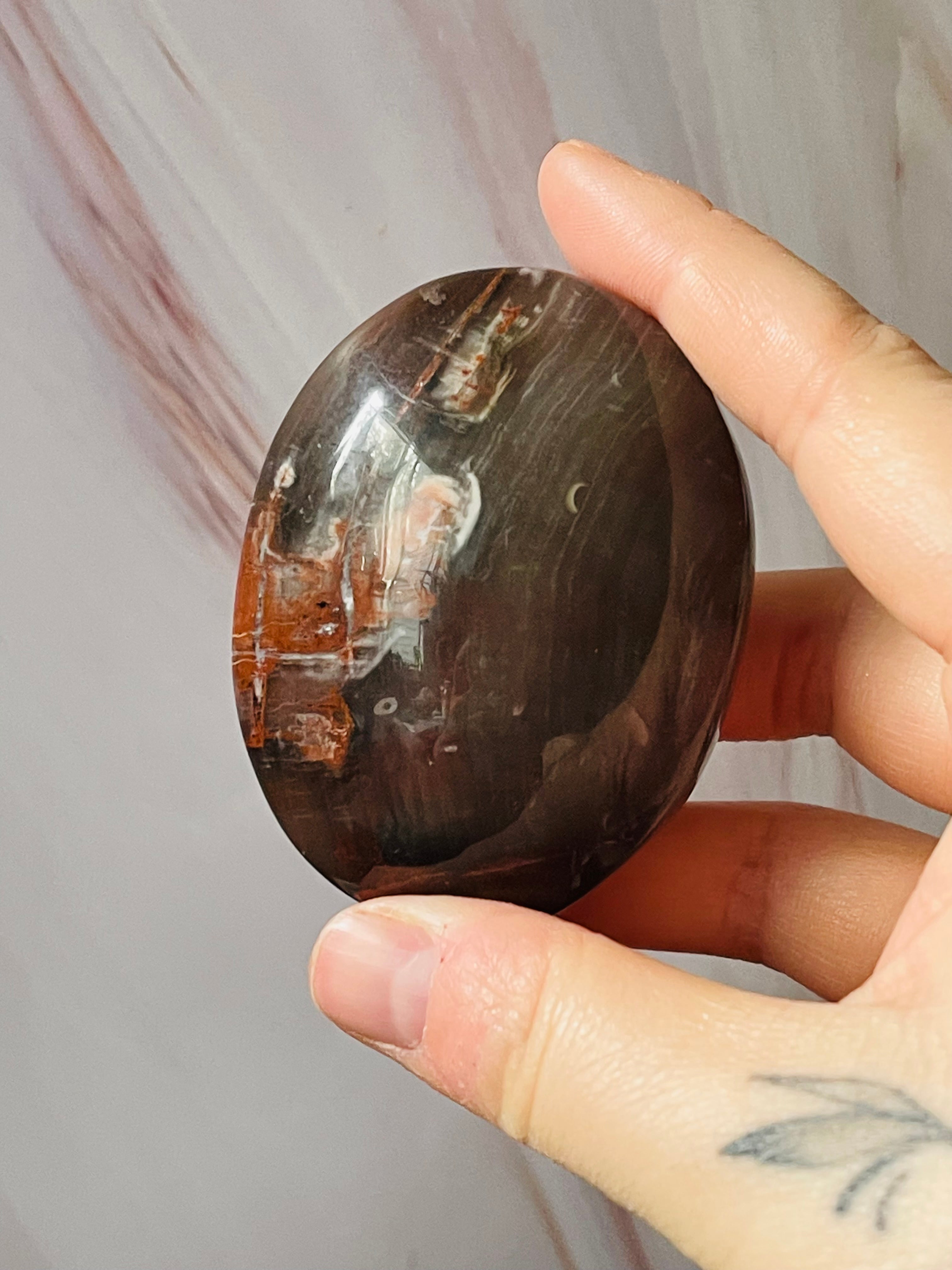 Petrified wood palmstone