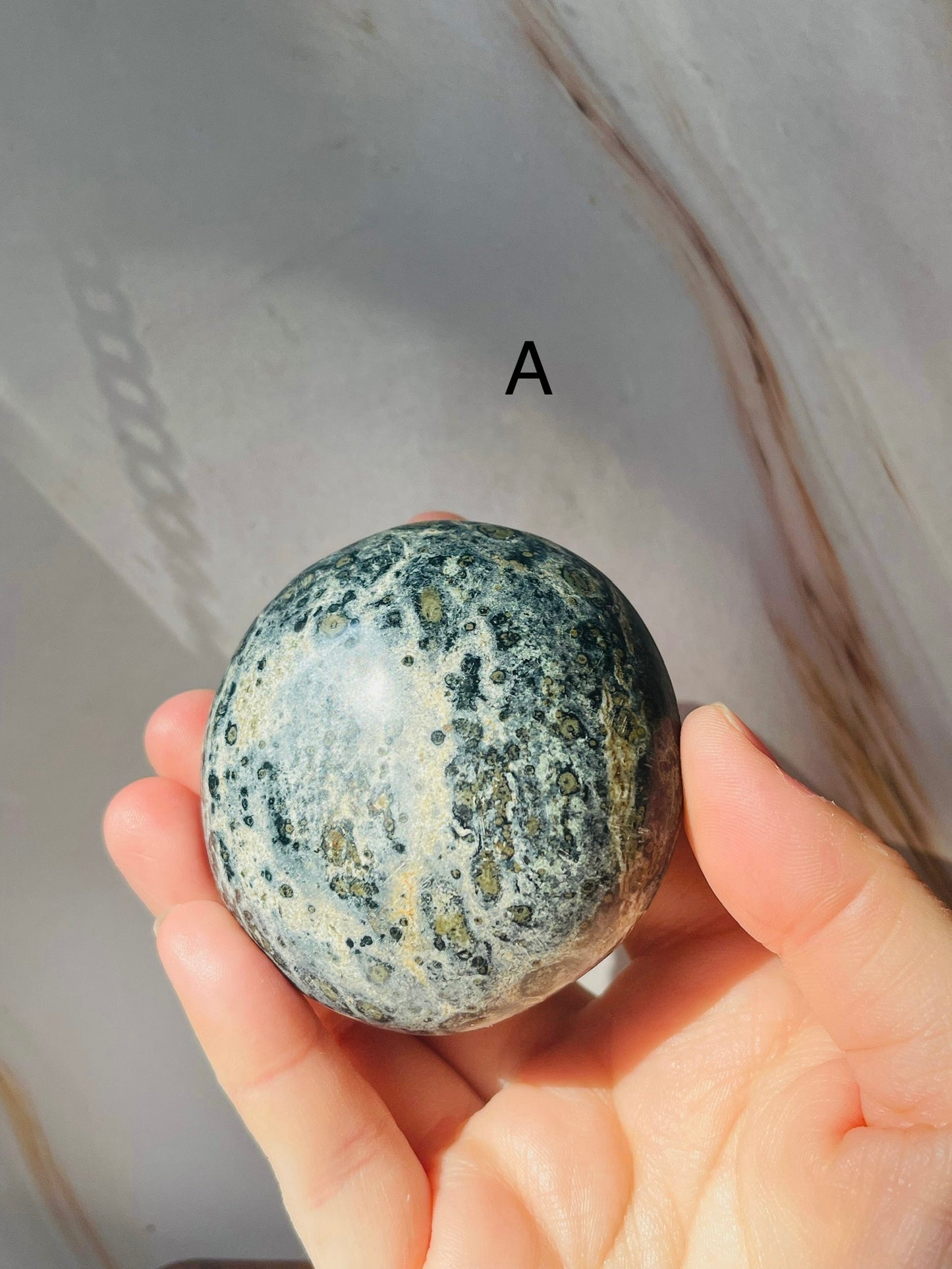 Kambaba Jasper Palmstone