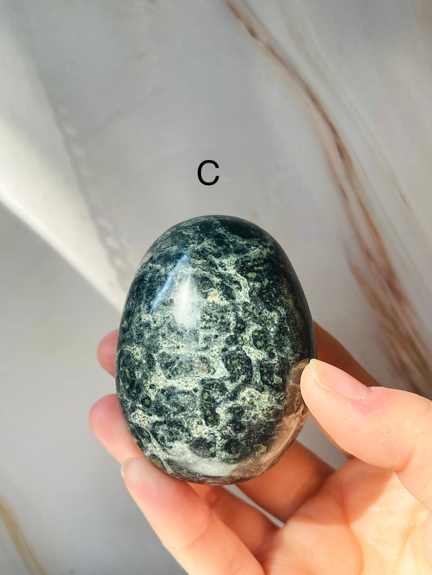 Kambaba Jasper Palmstone