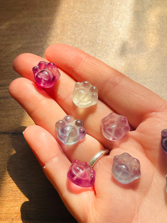 MINI fluorite  PawPrints