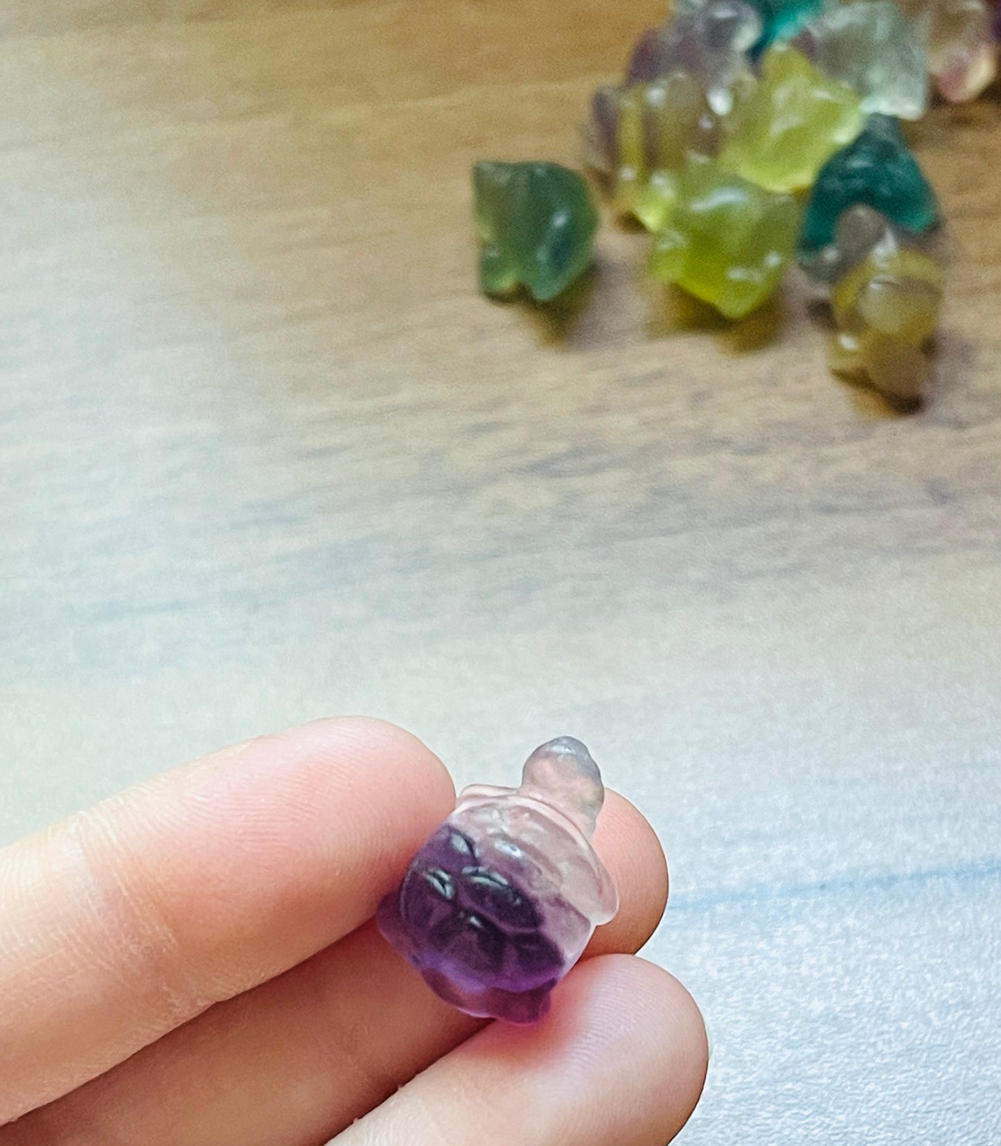 MINI fluorite  turtle