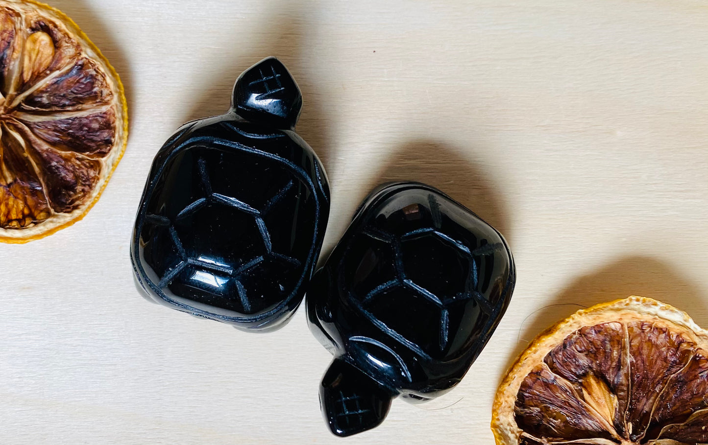 Obsidian Turtles